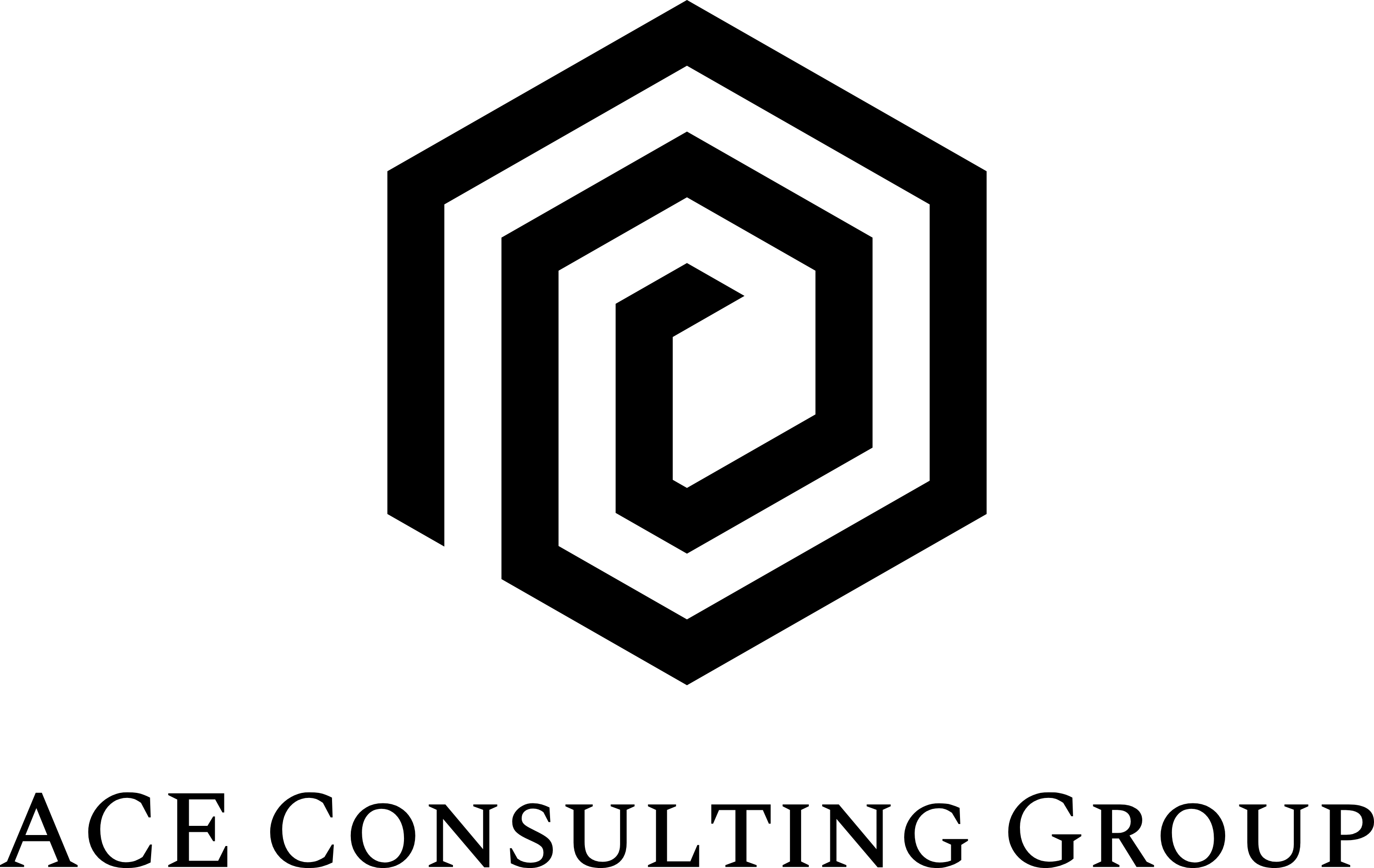 ACE Consulting